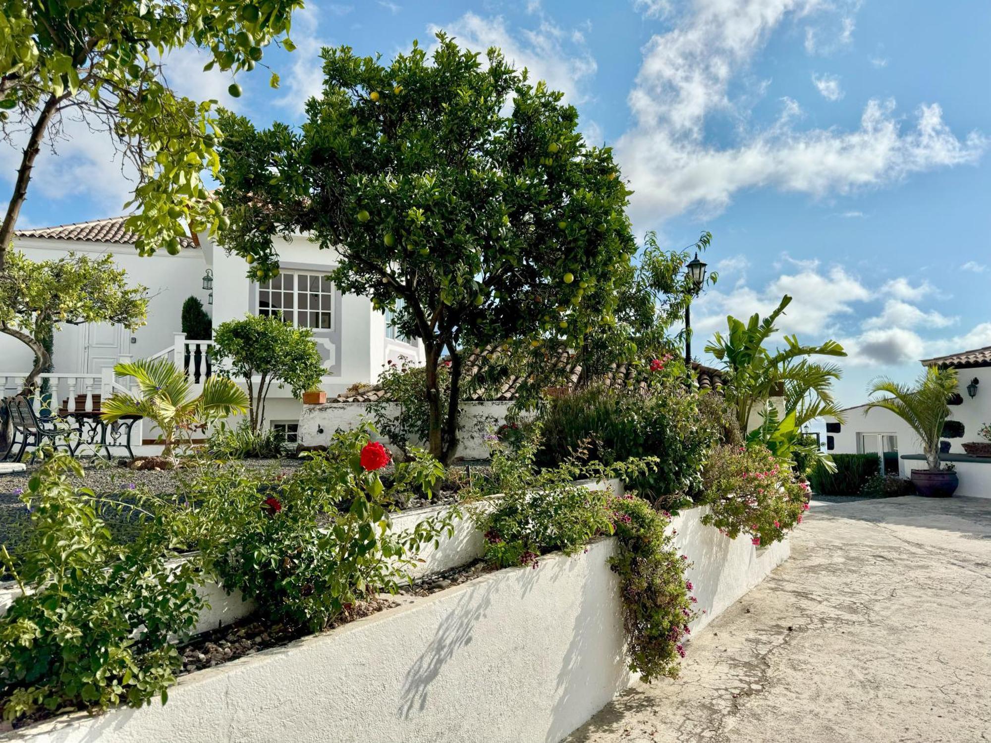 Casa Vista Mar 1 Los Laureles El Paso Εξωτερικό φωτογραφία